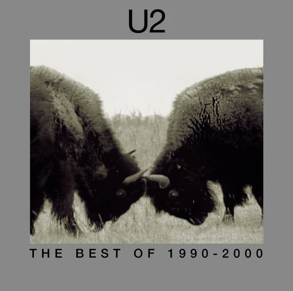 The Best Of 1990-2000 (2LP European edition)
